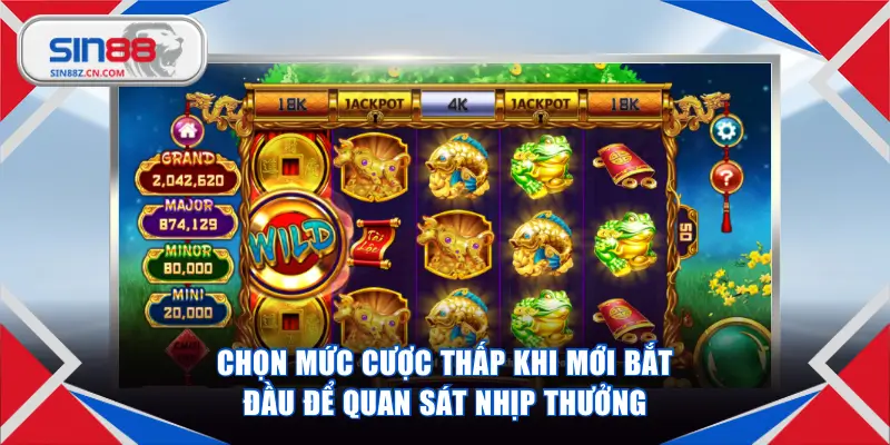 Chọn mức cược thấp khi mới bắt đầu để quan sát nhịp thưởng